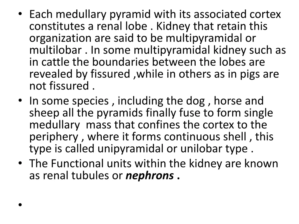 each medullary pyramid with its associated cortex