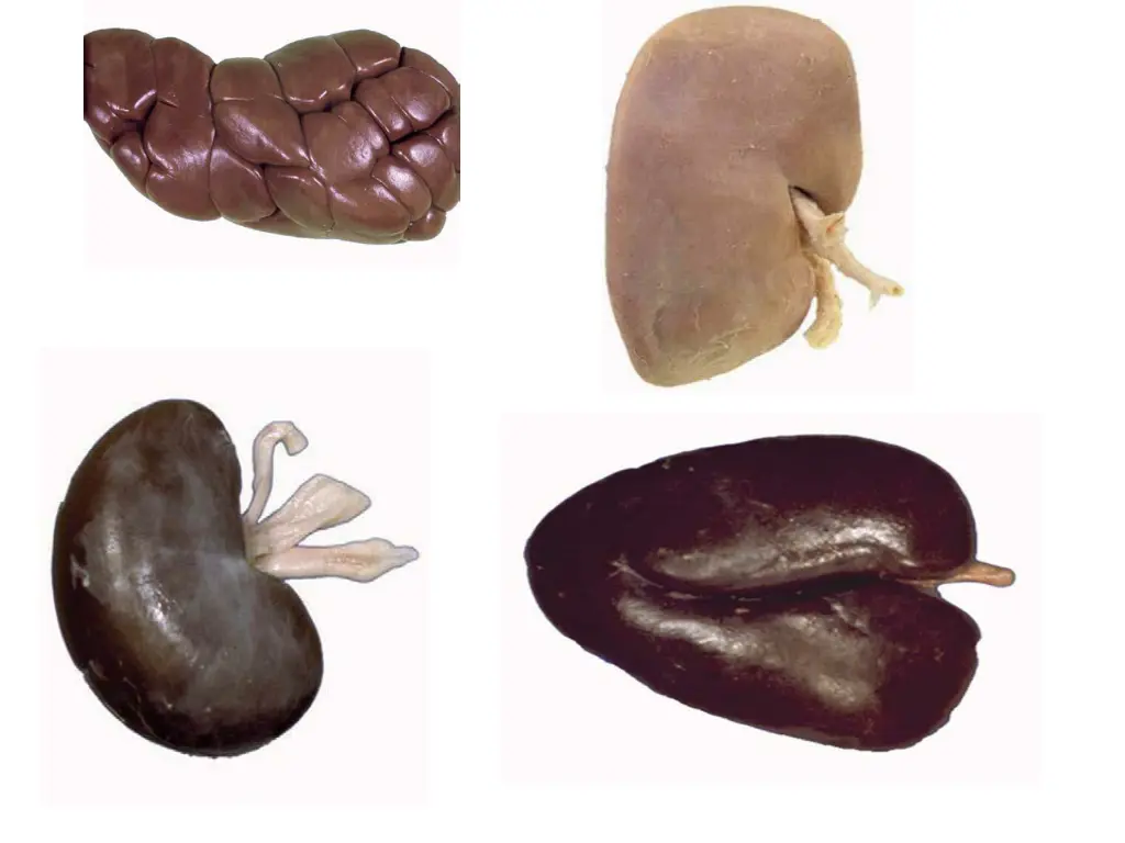 slide6