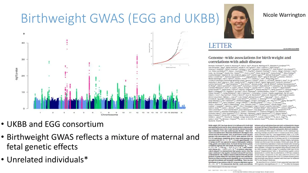 birthweight gwas egg and ukbb