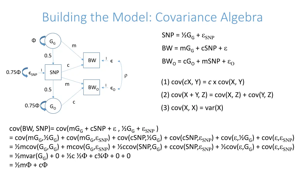 building the model covariance algebra 1
