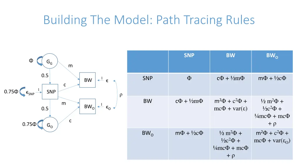 building the model path tracing rules