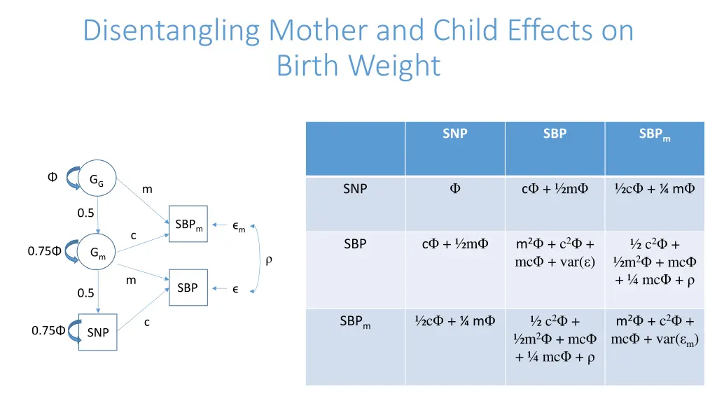 disentangling mother and child effects on birth 2