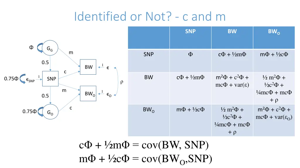 identified or not c and m