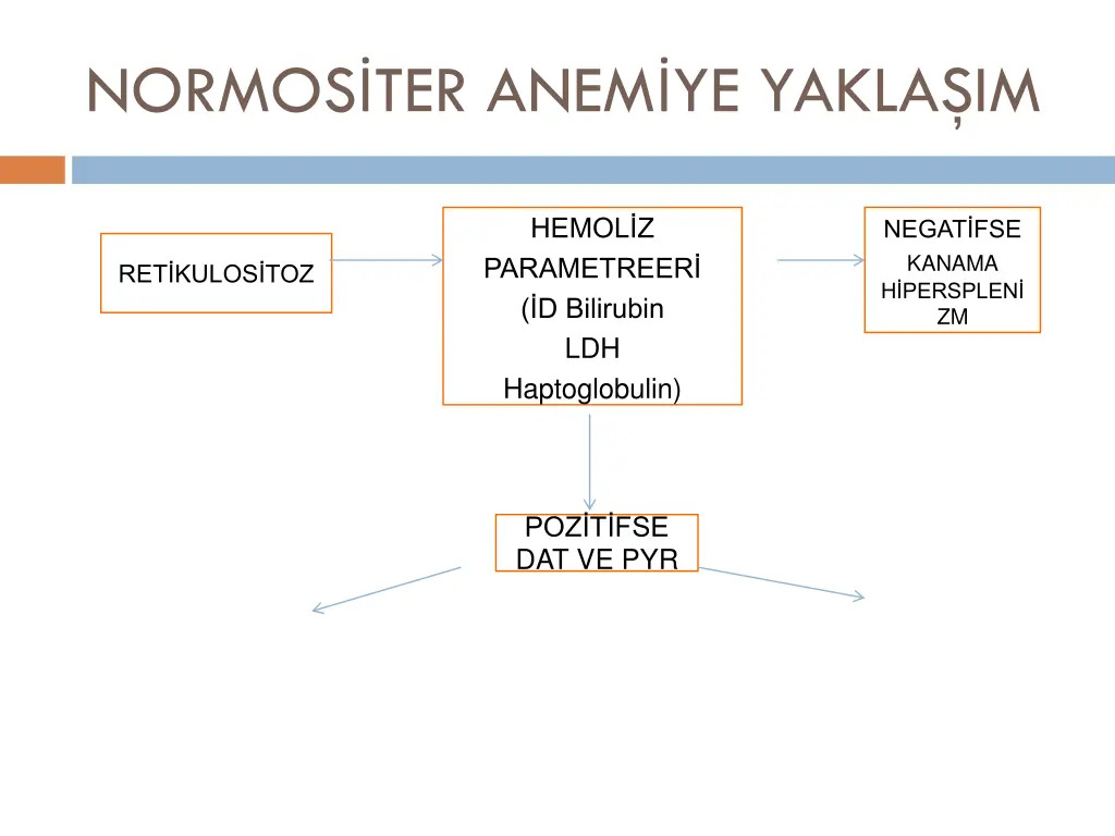 normos ter anem ye yakla im 1
