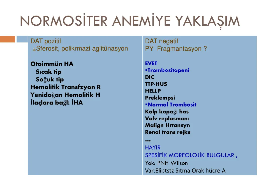 normos ter anem ye yakla im 2