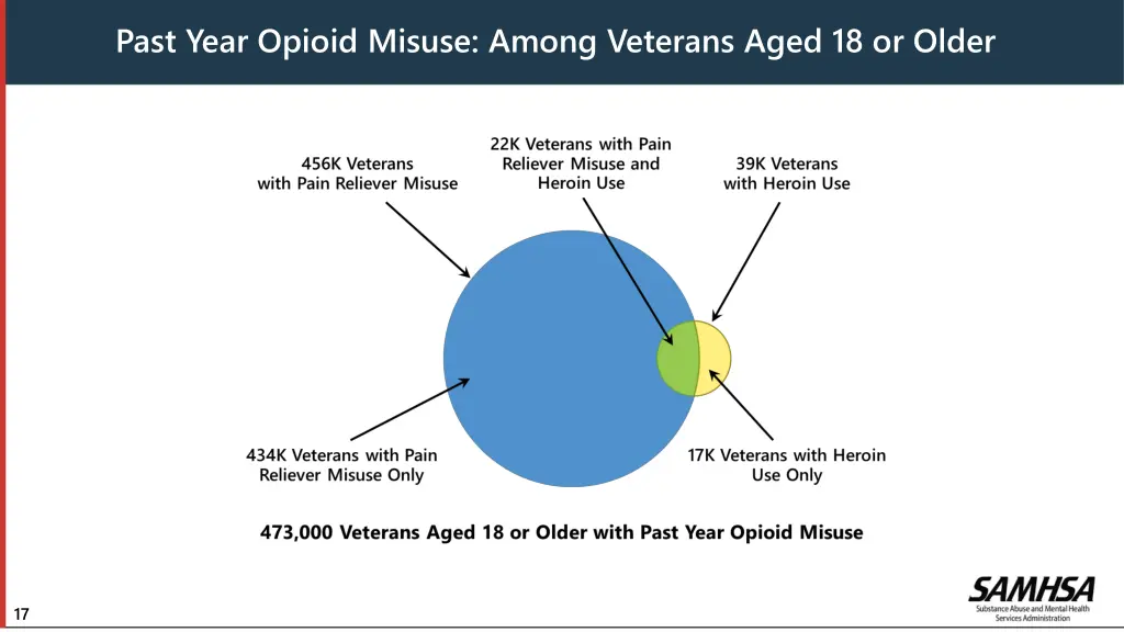 past year opioid misuse among veterans aged