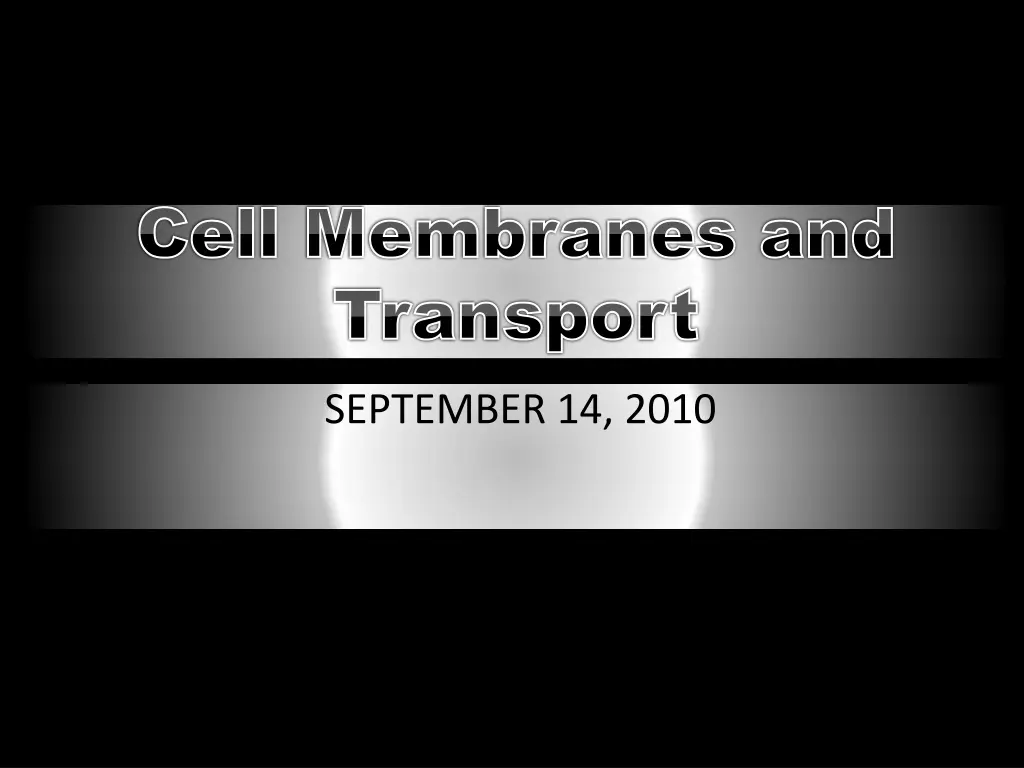 cell membranes and transport