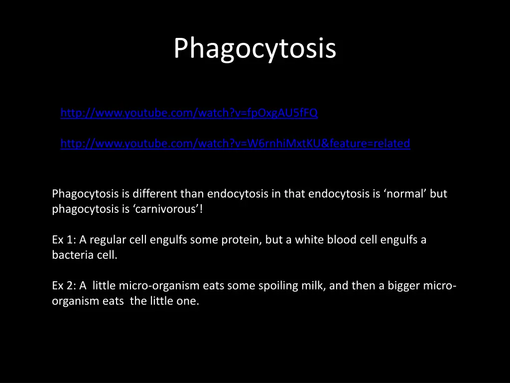 phagocytosis