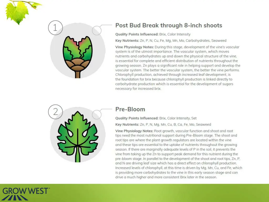 slide6