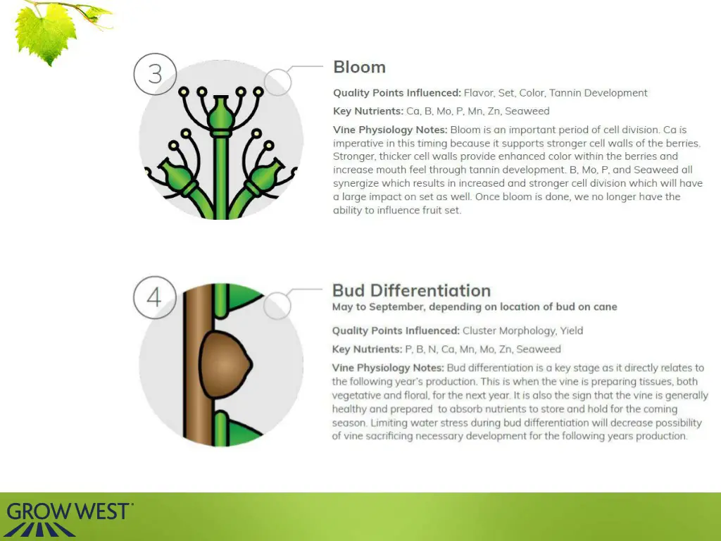 slide7