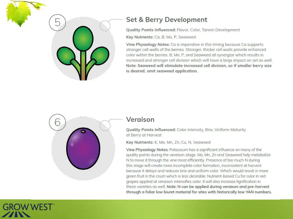 slide8