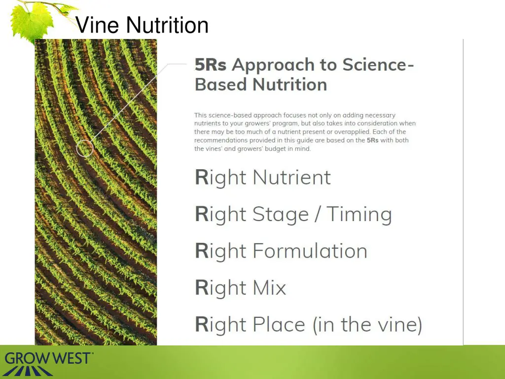 vine nutrition