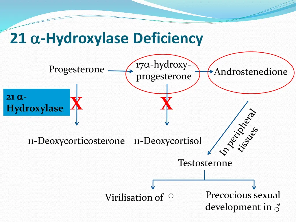 21 hydroxylase deficiency 1
