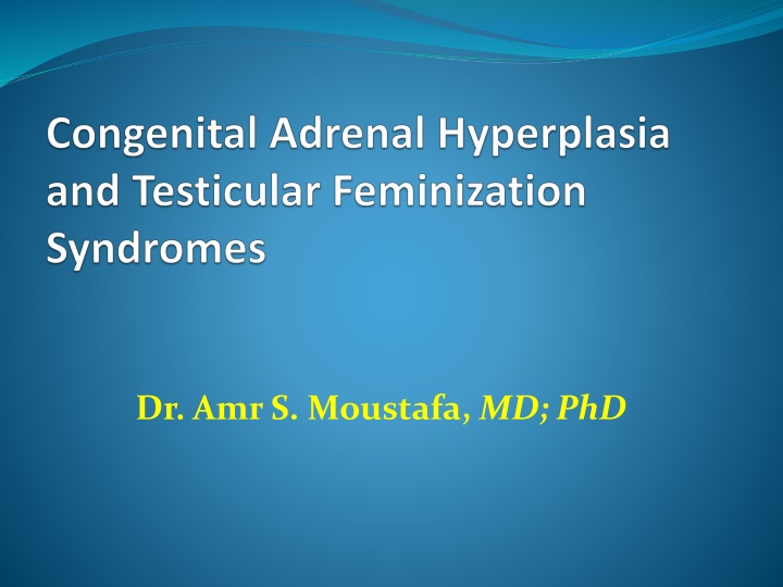 dr amrs moustafa md phd