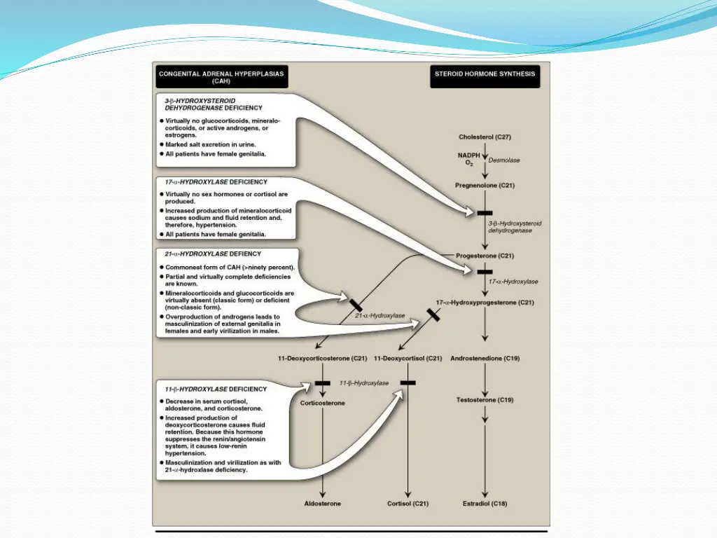 slide7