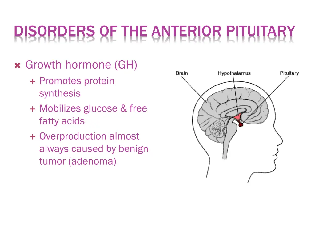 disorders of the anterior pituitary