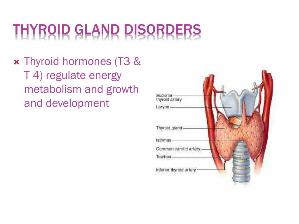 thyroid gland disorders