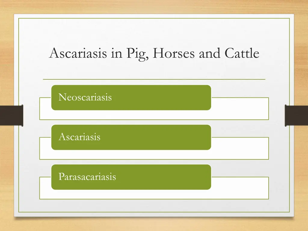ascariasis in pig horses and cattle