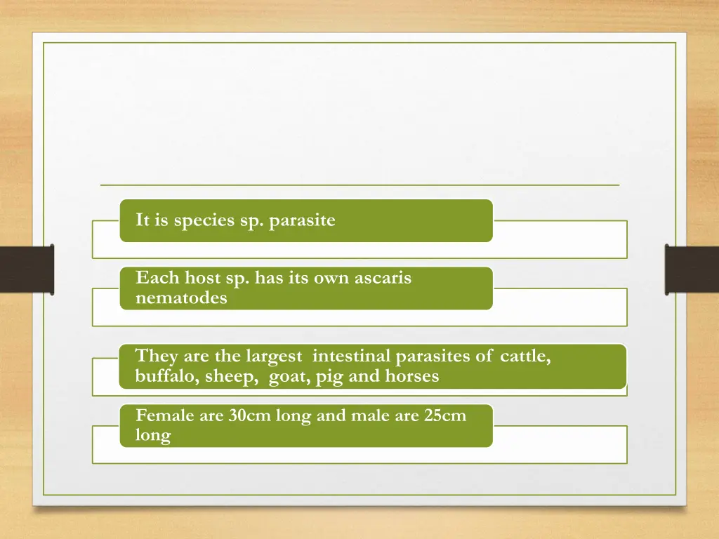 it is species sp parasite