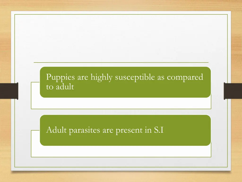 puppies are highly susceptible as compared