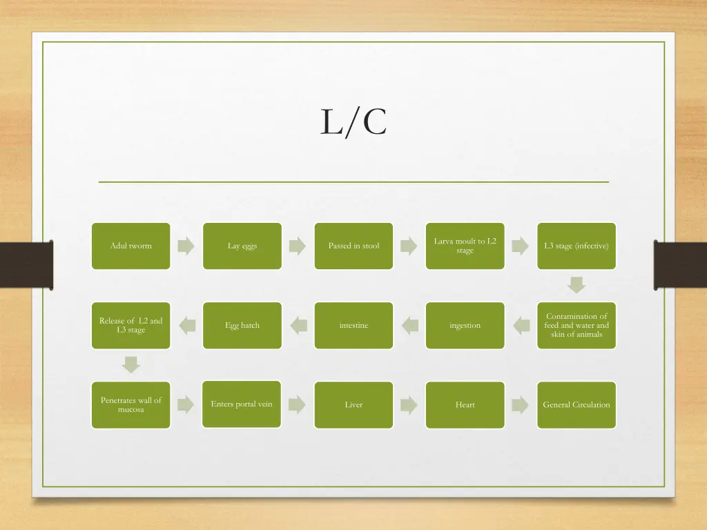 slide16