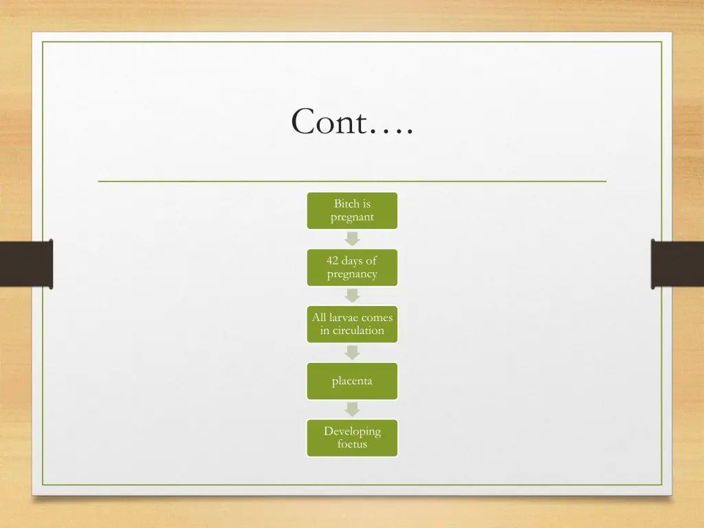 slide18