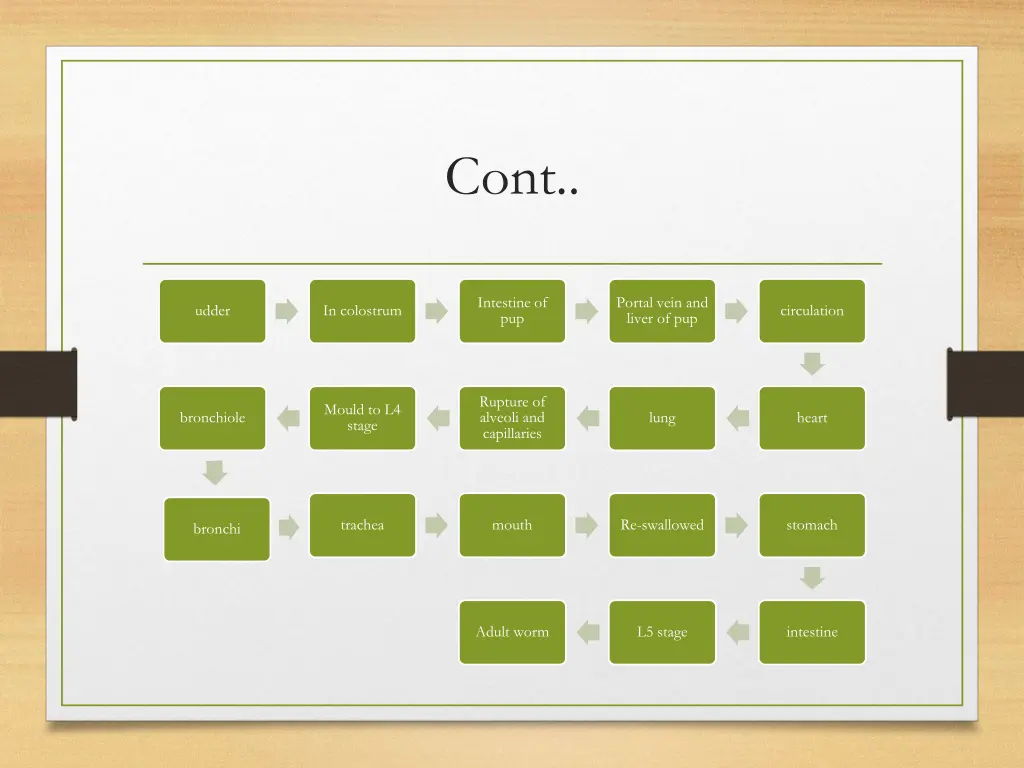 slide19