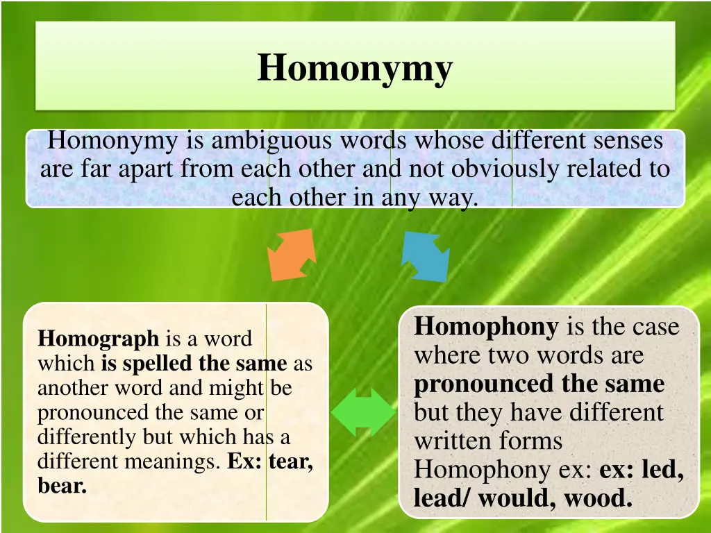 homonymy