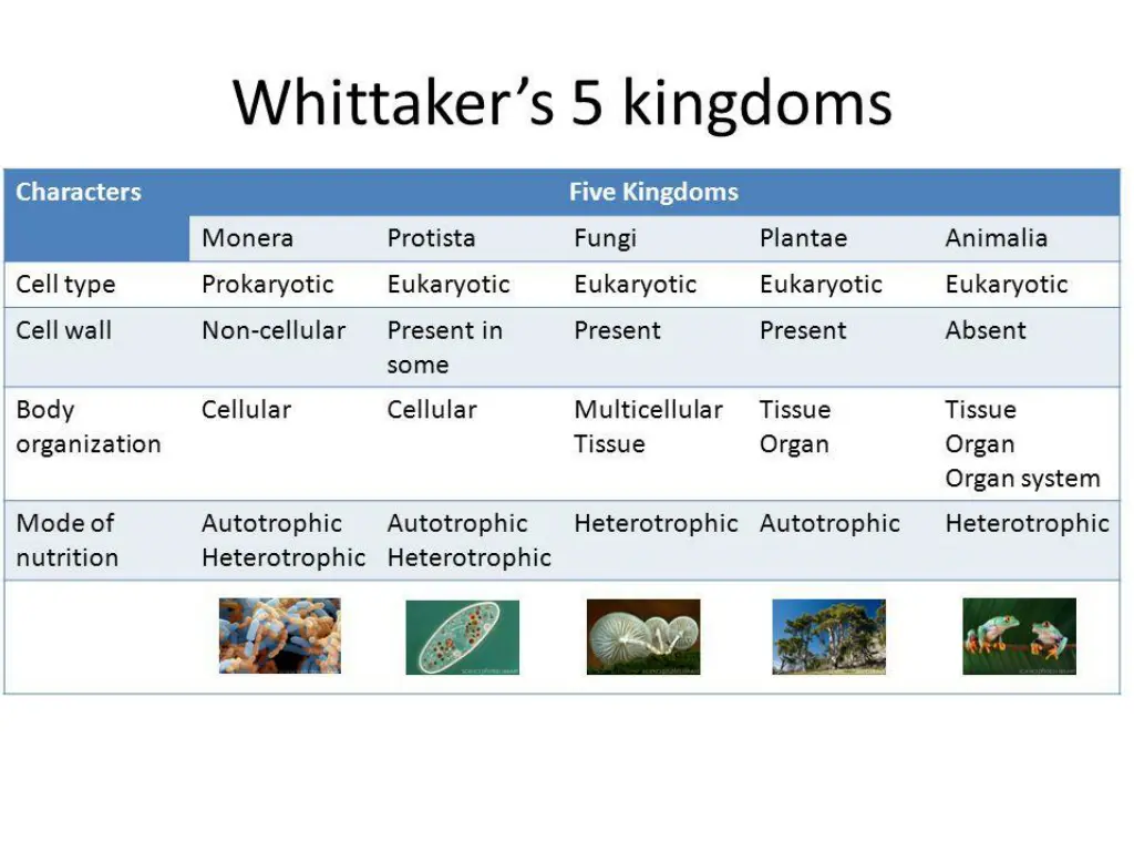 slide6