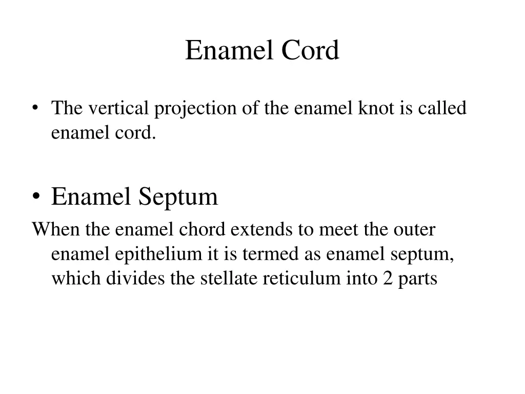 enamel cord