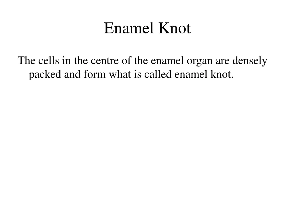 enamel knot