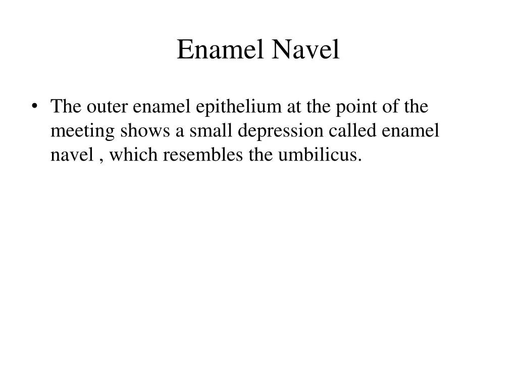 enamel navel