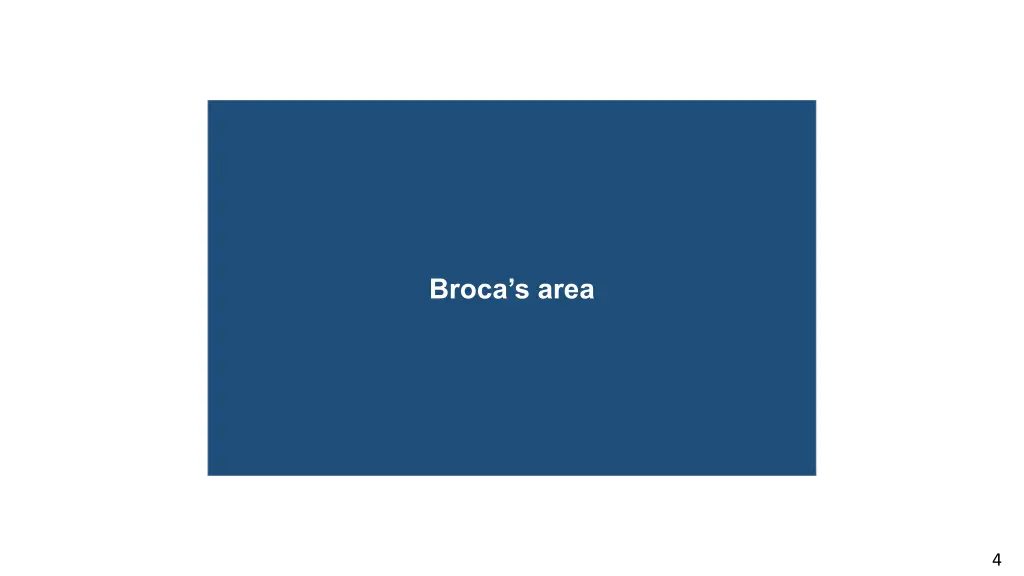anosmia broca s area