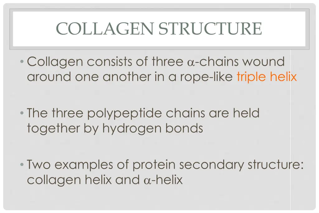 collagen structure 1