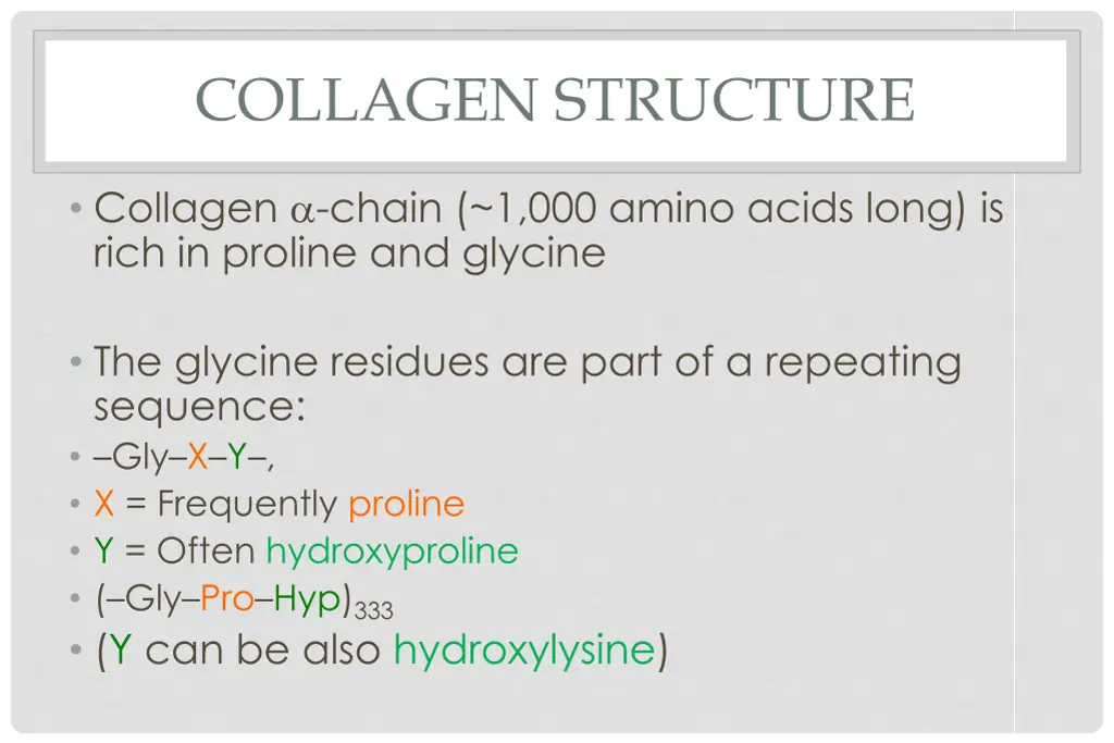 collagen structure