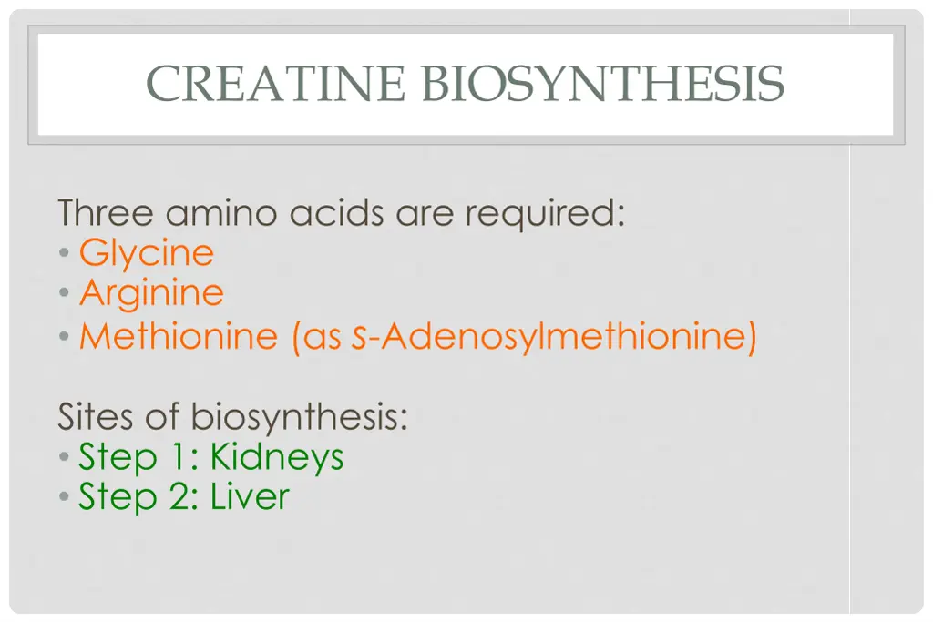 creatine biosynthesis