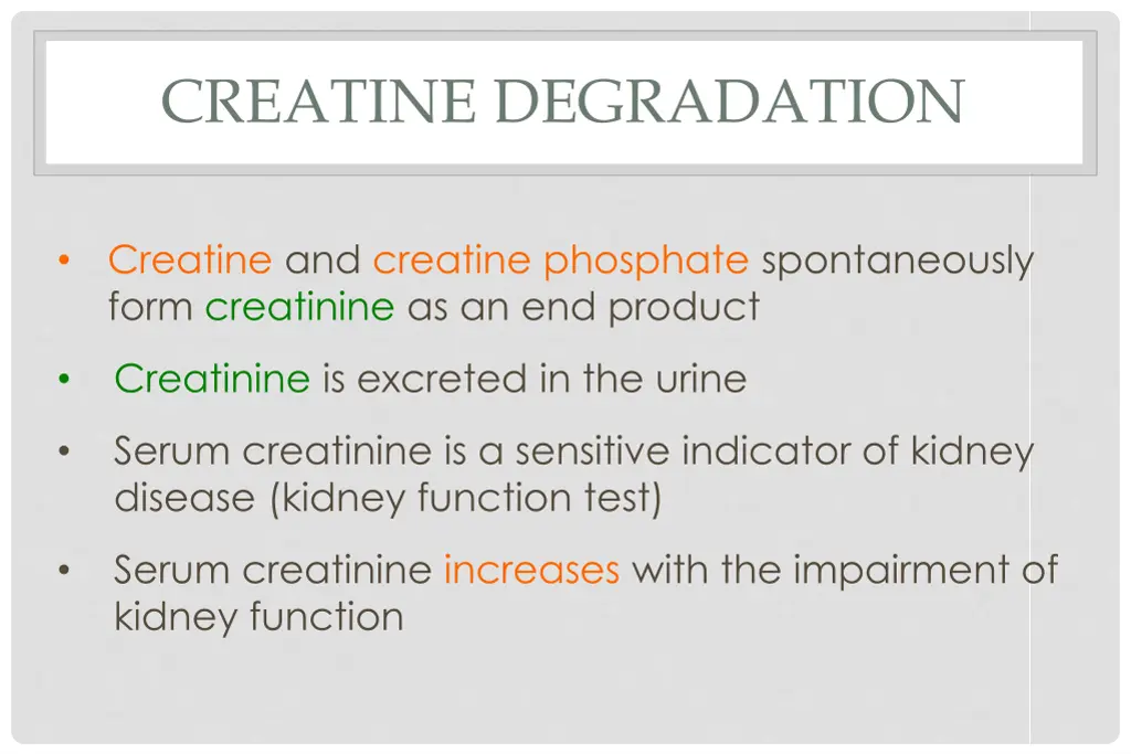 creatine degradation