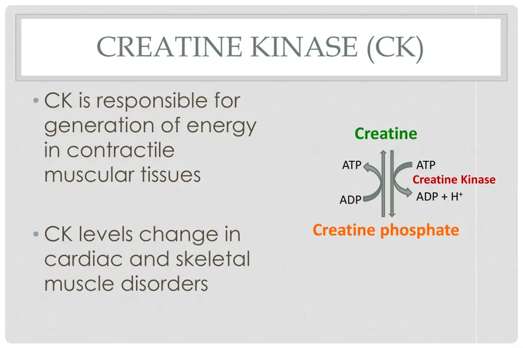 creatine kinase ck