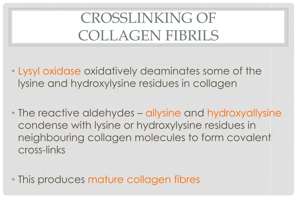 crosslinking of collagen fibrils