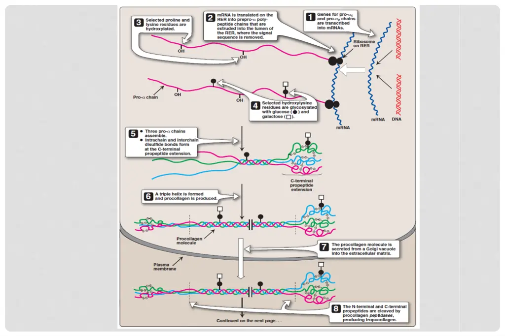 slide21