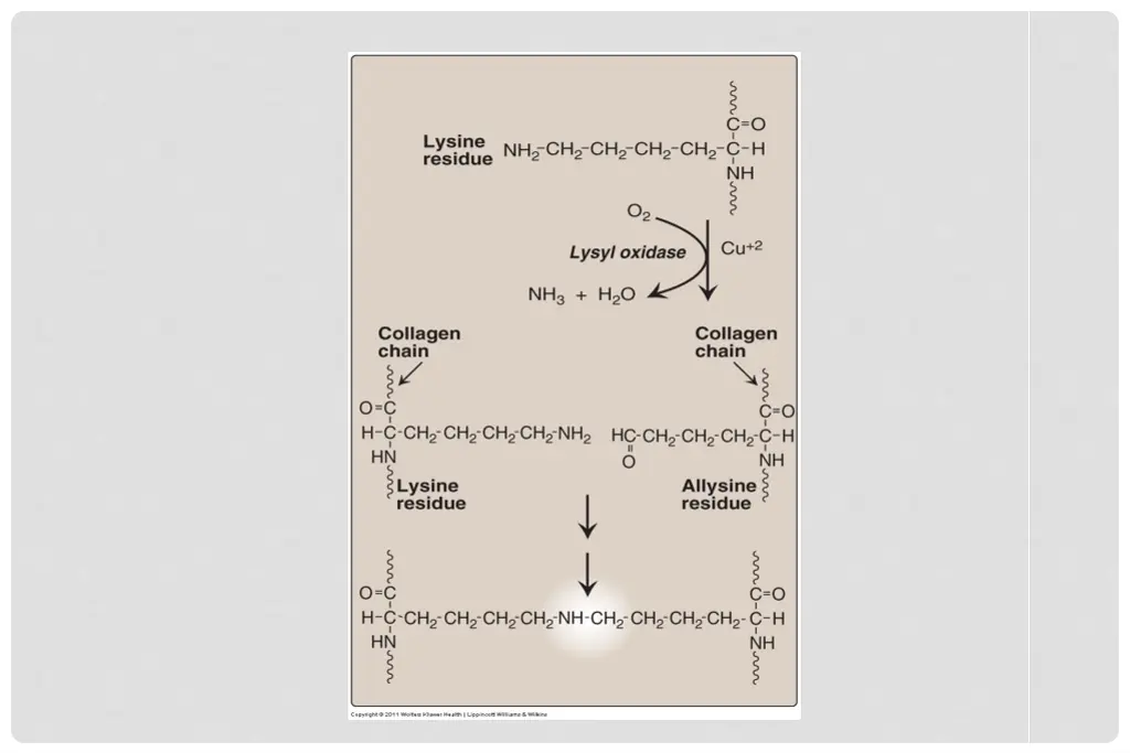 slide23