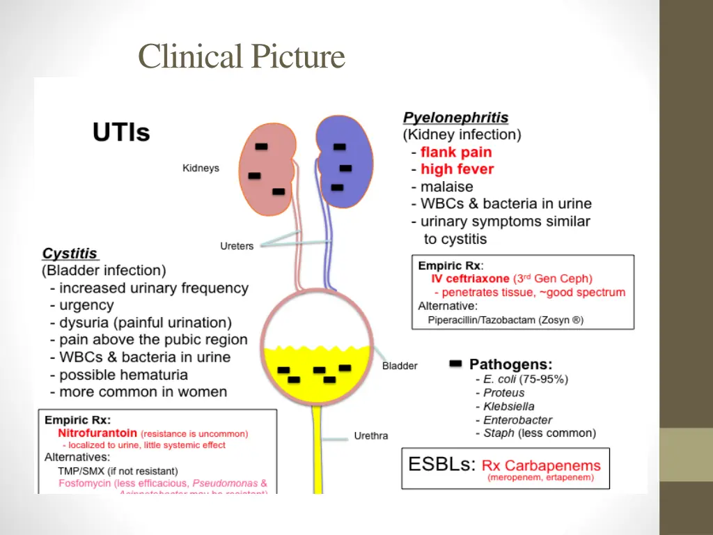 clinical picture