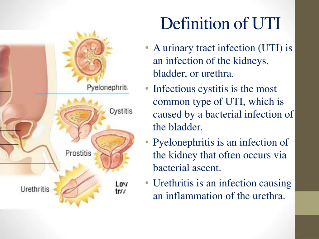 definition of uti