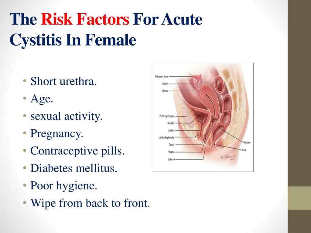 the risk factors for acute cystitis in female