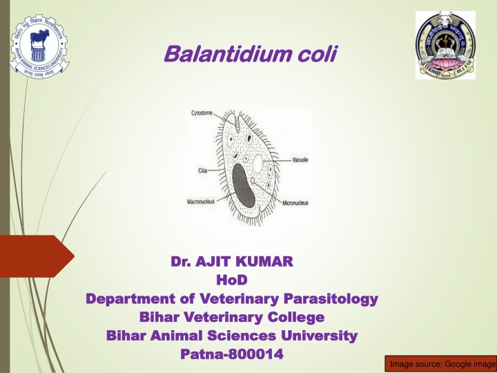 bihar animal sciences university