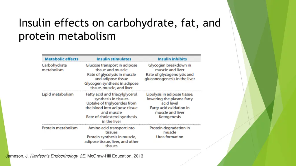 insulin effects on carbohydrate fat and protein