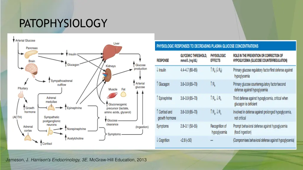 patophysiology