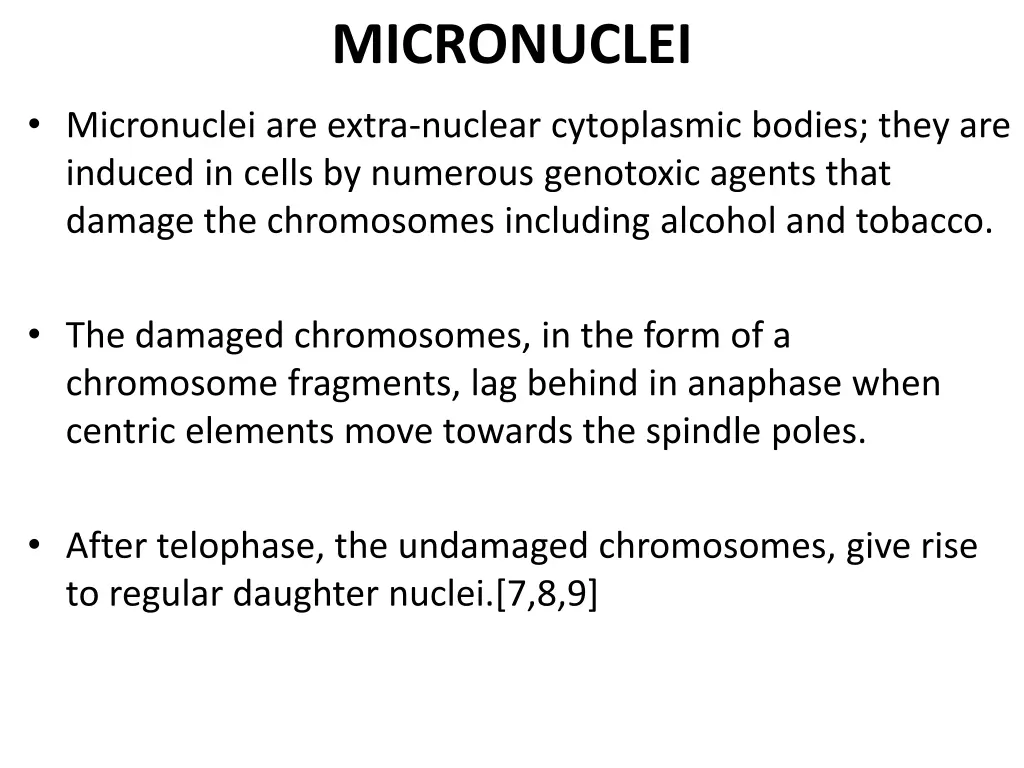 micronuclei 1