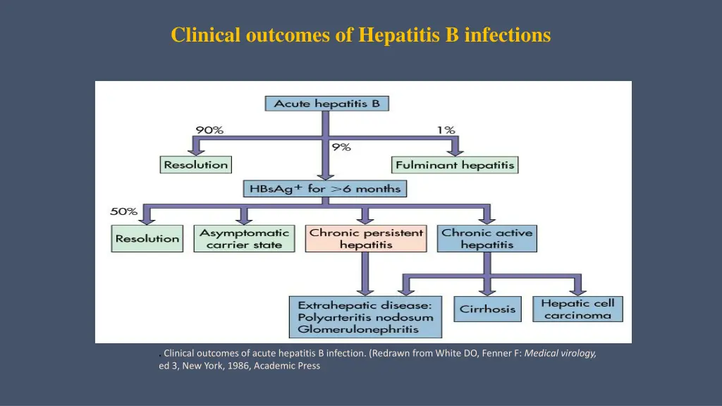 clinical outcomes of hepatitis b infections