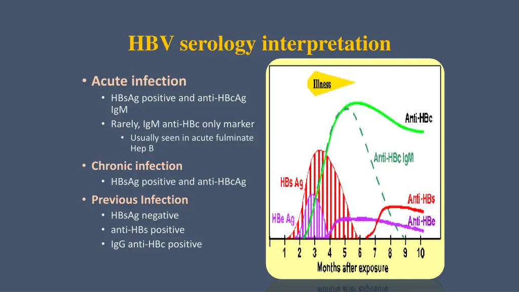 hbv serology interpretation